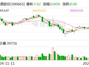 飞鹿股份：完成监事会换届选举