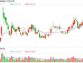 网传“九号断头”？九号公司回应：谣言