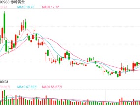 黄金价格再创新高！险资试点黄金投资开闸， 2000亿抢先入市