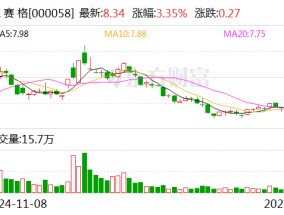 深赛格：董事长张良因工作安排原因辞职