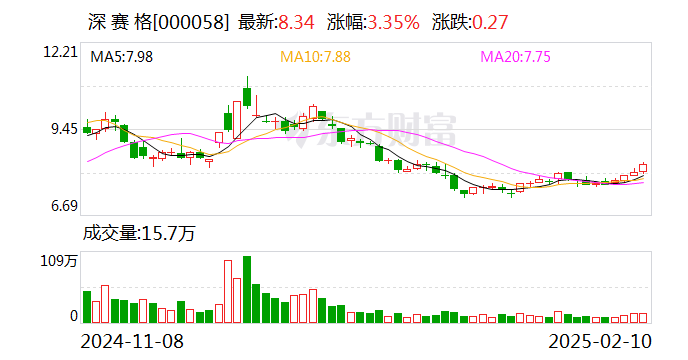 深赛格：董事长张良因工作安排原因辞职  第1张