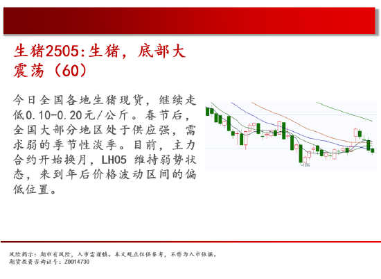 中天期货:原油短线反弹 生猪底部大震荡  第7张