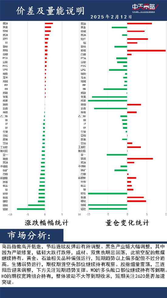 中天策略:2月12日市场分析  第2张