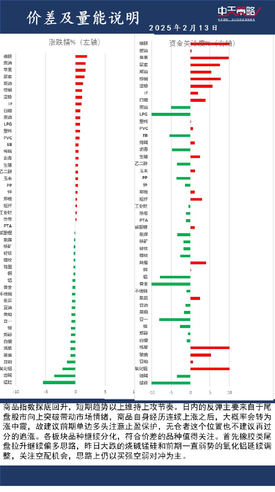 中天策略:2月13日市场分析  第2张